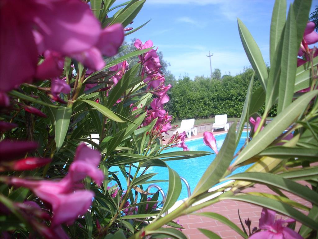 Villa azienda agrituristica Allumiere Campiglia Marittima Exterior foto
